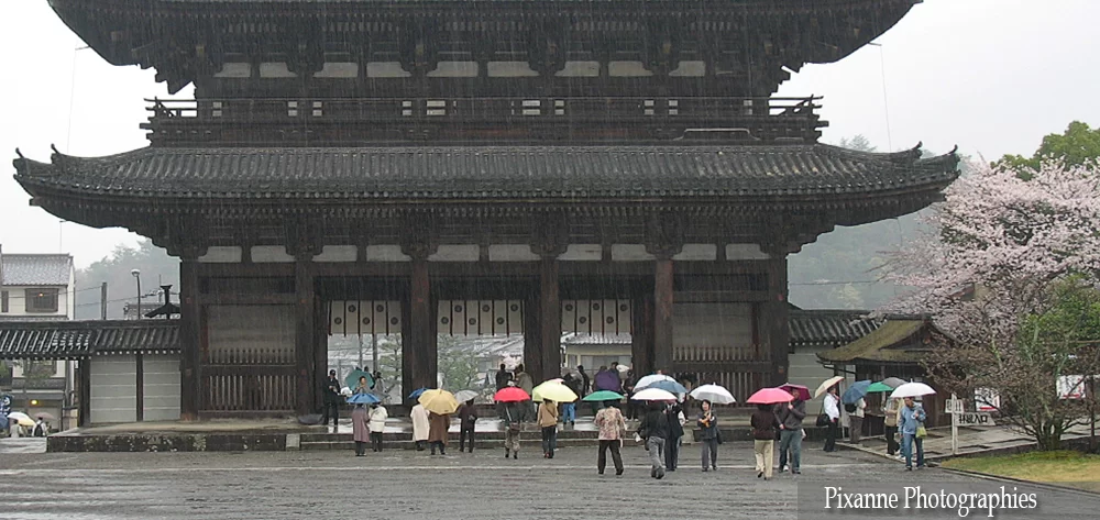 Asie, Japon, Kyoto, Ninna Ji, Souvenirs de Voyages, Pixanne Photographies