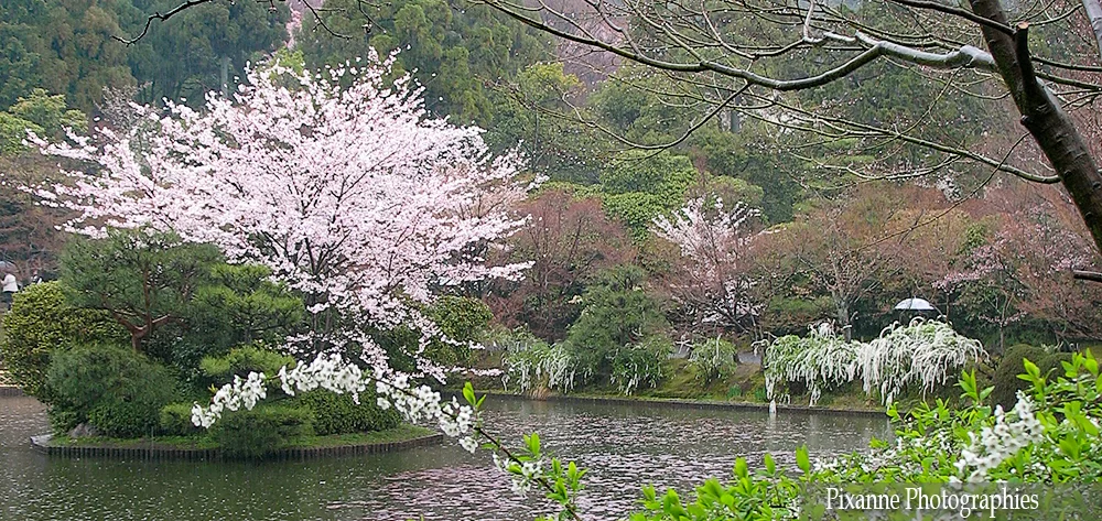 Asie, Japon, Kyoto, Ryoan Ji, Souvenirs de Voyages, Pixanne Photographies