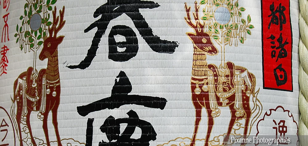asie, japon, nara, kasuga taisha, souvenirs de voyages, pixanne photographies