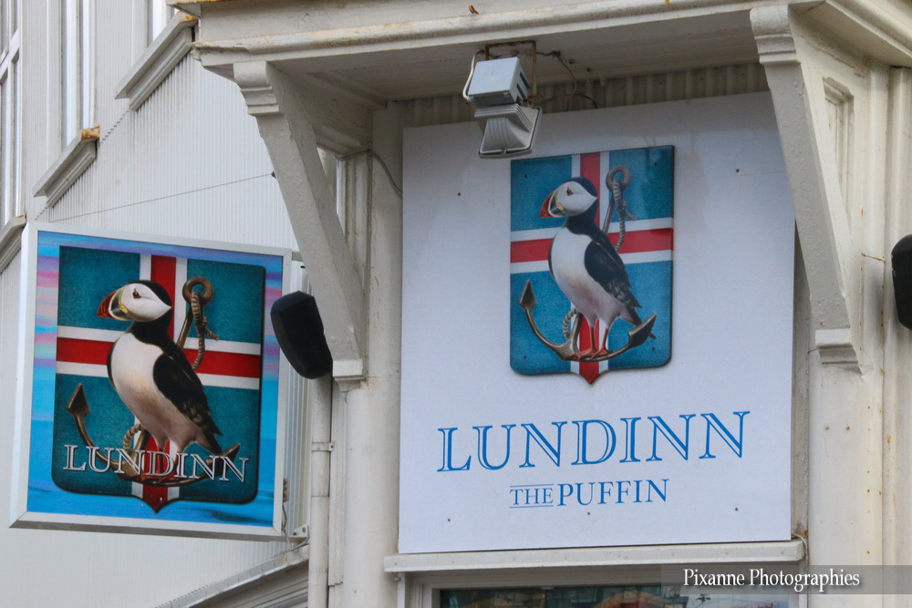 Europe, Islande, Iceland, Reykjavik, Souvenirs de Voyages, Pixanne Photographies