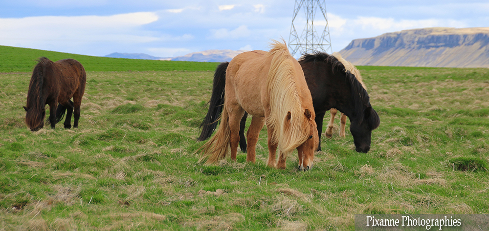 Europe Islande J4