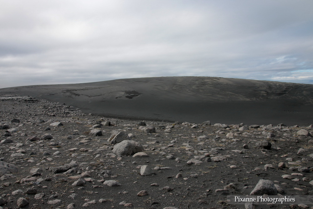 Europe, Islande, Islande du Sud, Ingolfshofdir, Ingólfshöfði, Souvenirs de Voyages, Pixanne Photographies
