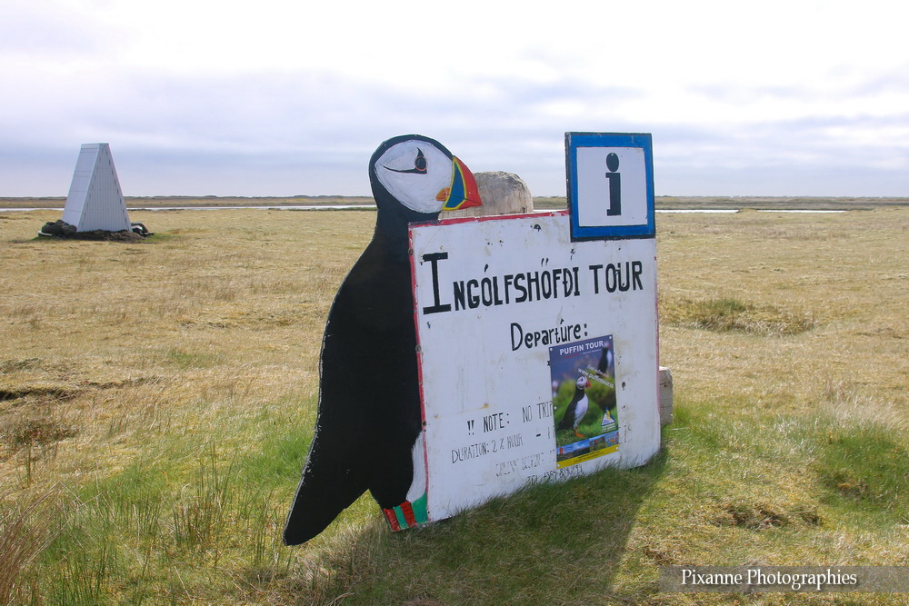 Europe, Islande, Islande du Sud, Ingolfshofdi Puffin Tour, Ingólfshöfði, Souvenirs de Voyages, Pixanne Photographies