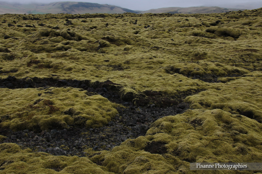 Europe, Islande, Mýrdalssandur, Eldhraun, Souvenirs de Voyages, Pixanne Photographies