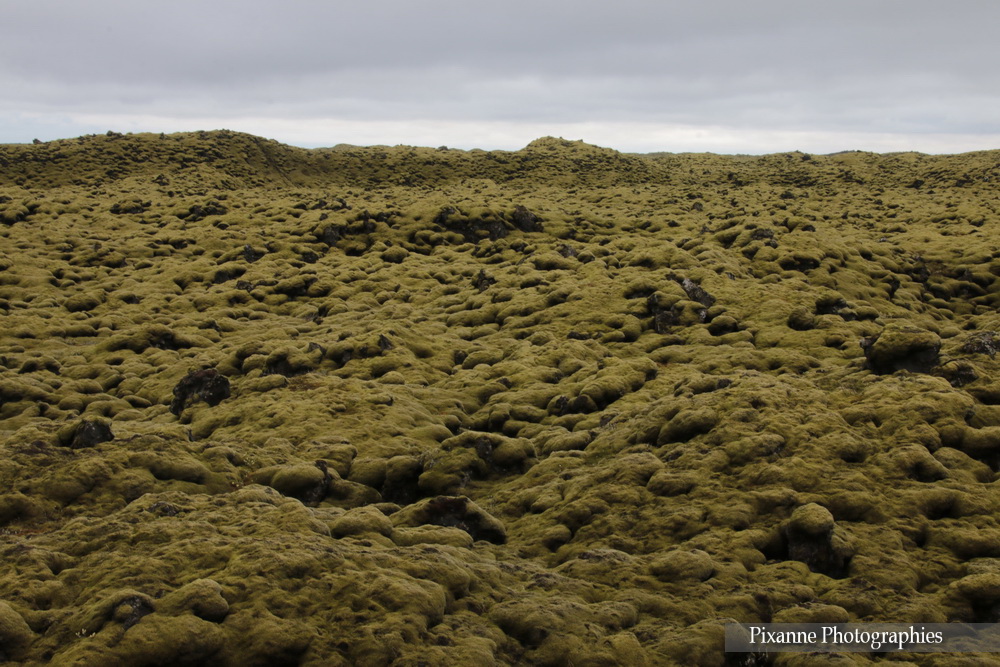 Europe, Islande, Mýrdalssandur, Myrdalssandur, Eldhraun, Souvenirs de Voyages, Pixanne Photographies