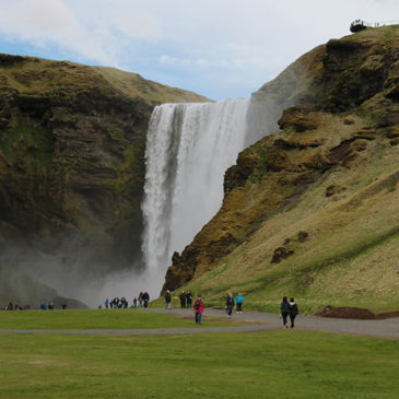 Jour 05 (24 Mai) : Hvolsvöllur * Dyrholaey