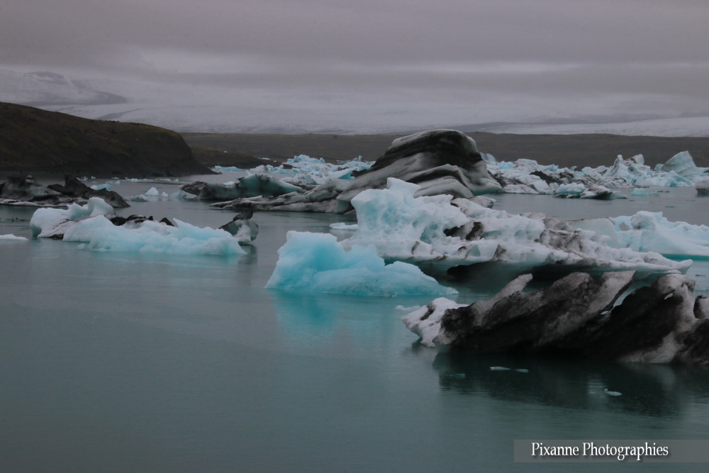 Europe, Islande, Breiðamerkurjökull, Jökulsárlón, Souvenirs de Voyages, Pixanne Photographies