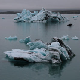 Europe, Islande, Jökulsárlón, Souvenirs de Voyages, Pixanne Photographies