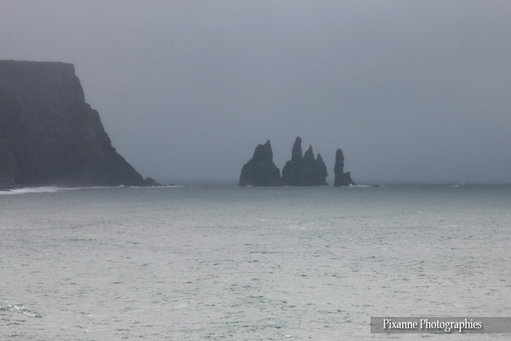 Europe, Islande, Dyrholaey, Souvenirs de Voyages, Pixanne Photographies