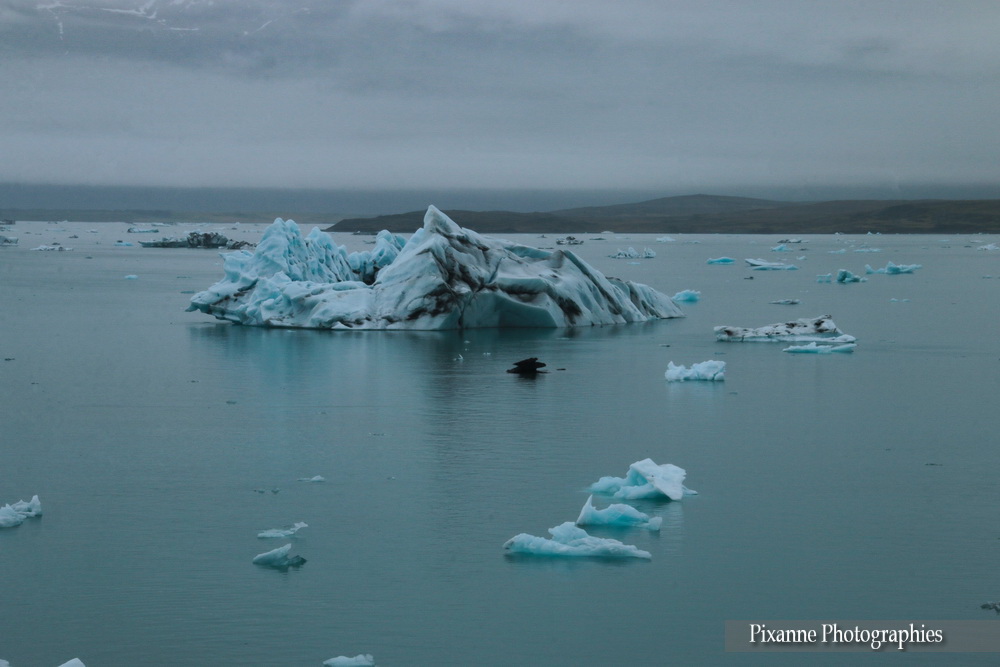 Europe, Islande, Islande du Sud, Jokulsarlon,Jökulsárlón, Breidamerkurjokull, Breiðamerkurjökull, Souvenirs de Voyages, Pixanne Photographies