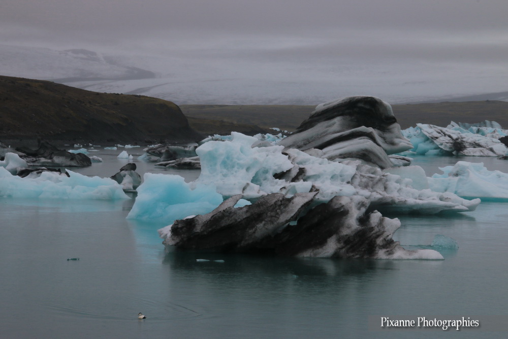 Europe, Islande, Islande du Sud, Jokulsarlon,Jökulsárlón, Breidamerkurjokull, Breiðamerkurjökull, Souvenirs de Voyages, Pixanne Photographies