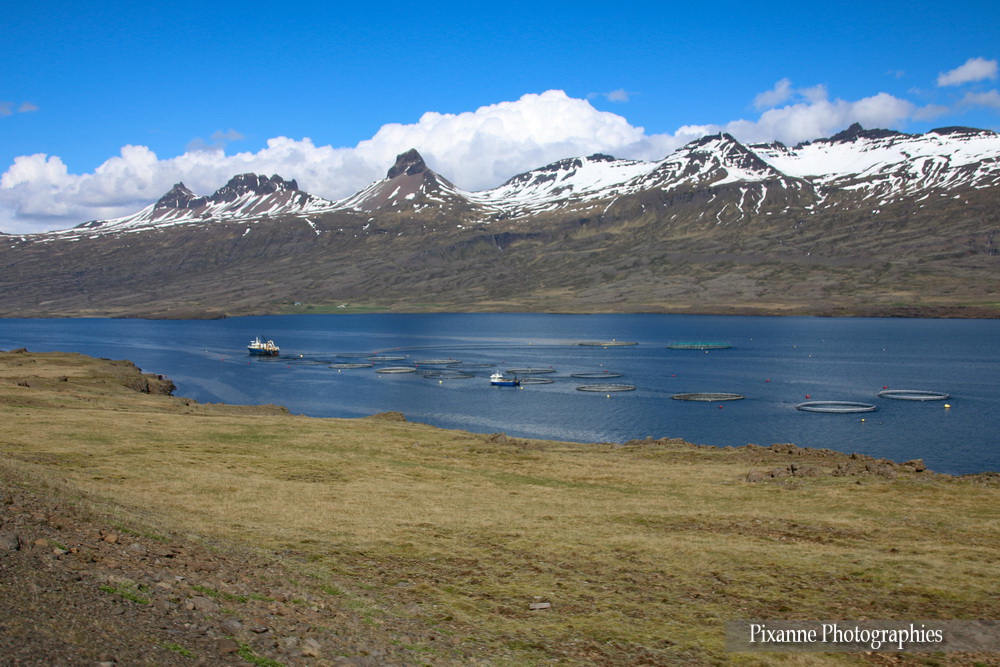 Europe, Islande, Austurland, Austfirðir, Fjord de l'Est, Berufjörður, Souvenirs de Voyages, Pixanne Photographies