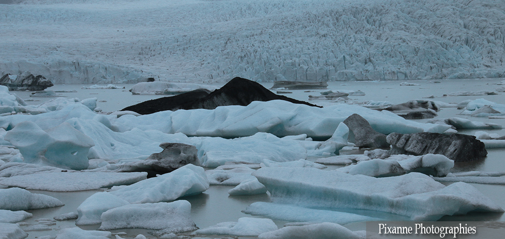 Europe, Islande, Fjallsárlón, Fjallsarlon, Fjallsjökull, Fjallsjokull, Souvenires de Voyages, Pixanne Photographies