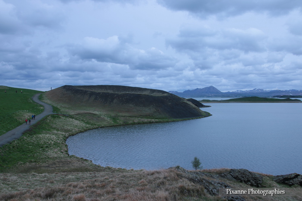 Europe, Islande, Lac Myvatn, Souvenirs de Voyages, Pixanne Photographies