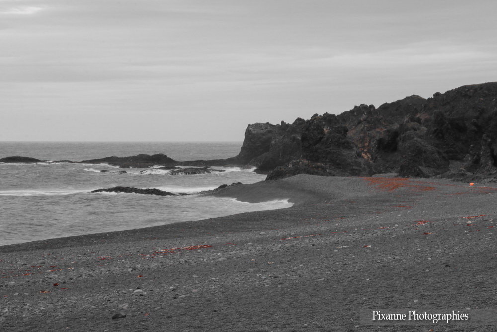 Europe, Islande, Djupalonssandur, Djúpalónssandur, Souvenirs de Voyages, Pixanne Photographies