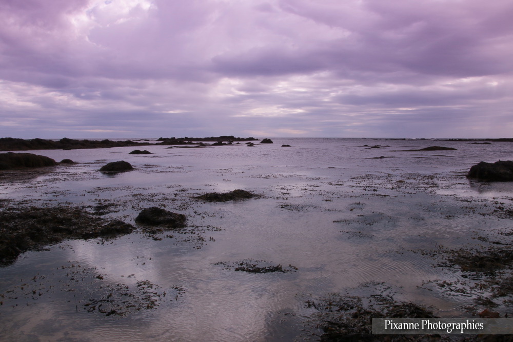 Europe, Islande, péninsule de Snaefellsnes, Ytri Tunga, Souvenirs de Voyages, Pixanne Photographies