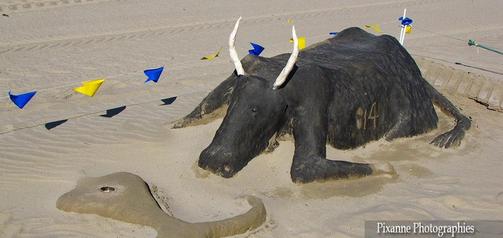 Europe, France, Occitanie, Gard, Le Grau du Roi, Sculpture sur sable, Taureau, Camargue, Souvenirs de Voyages, Pixanne Photographies