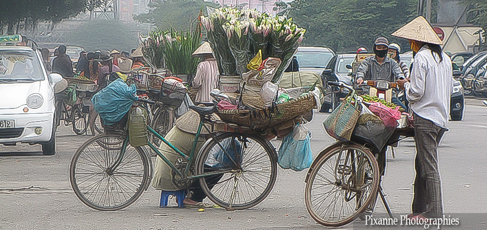 Asie, Vietnam, Hanoï, Souvenirs de Voyages, Pixanne Photographies