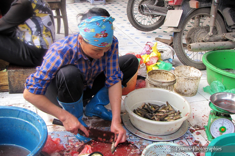 Asie, Vietnam, Hanoï, Souvenirs de Voyages, Pixanne Photographies