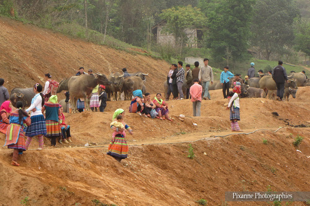 Asie, Vietnam, Coc Ly, Hmong Fleur, Souvenirs de Voyages, Pixanne Photographies