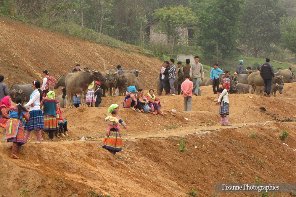 Asie, Vietnam, Coc Ly, Hmong Fleur, Souvenirs de Voyages, Pixanne Photographies