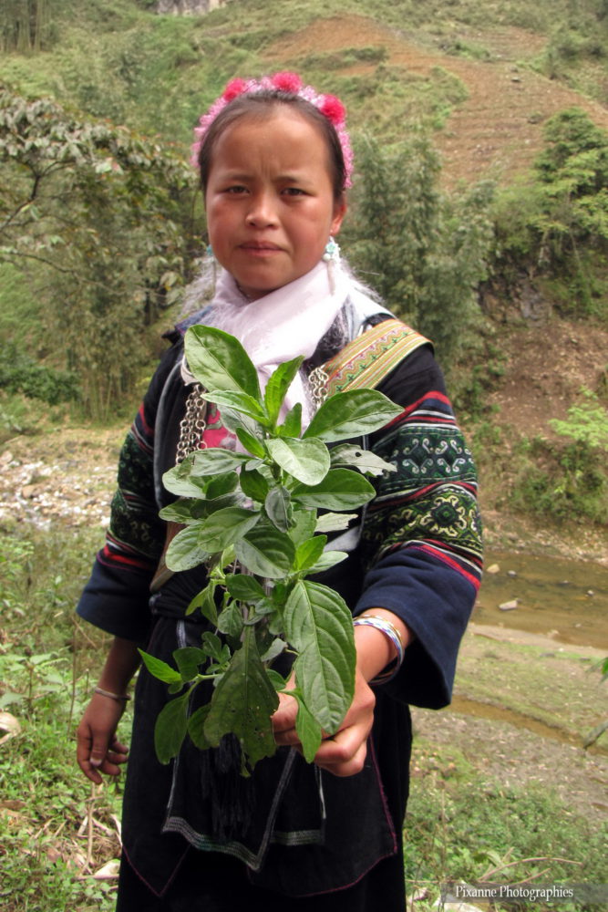 Asie, Vietnam, Sapa, Cat Cat, Souvenirs de Voyages, Pixanne Photographies