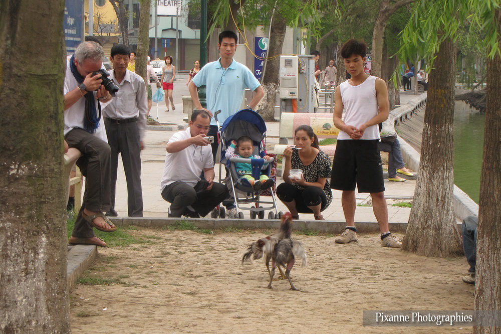 Asie, Vietnam, Hanoï, Lac Hoan Kiem, Souvenirs de Voyages, Pixanne Photographies
