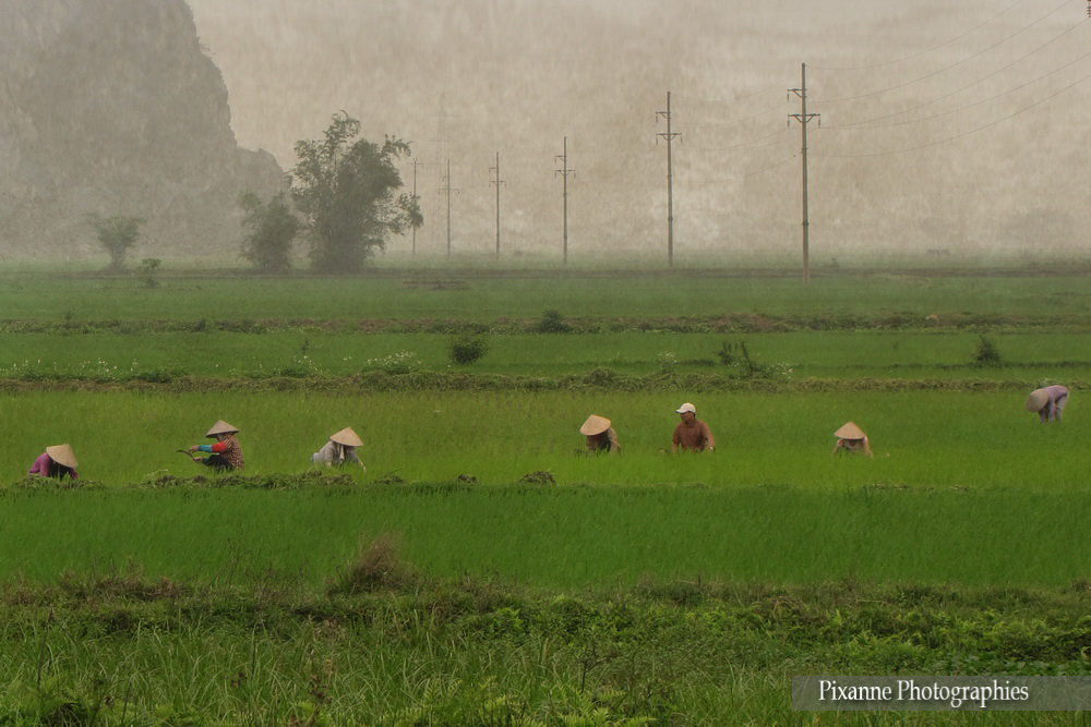 Asie, Vietnam, Baie D'Halong Terrestre, Hoa Lu, Souvenirs de Voyages, Pixanne Photographies