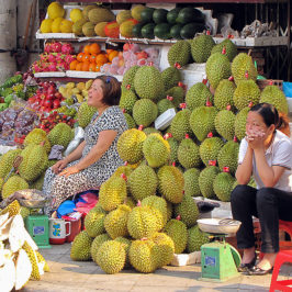 Asie, Vietnam, Hanoï, Quartier des 36 Rues, Souvenirs de Voyages, Pixanne Photographies