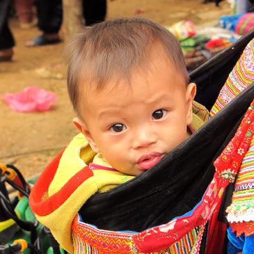 Marché de Coc Ly – Hmong Fleurs