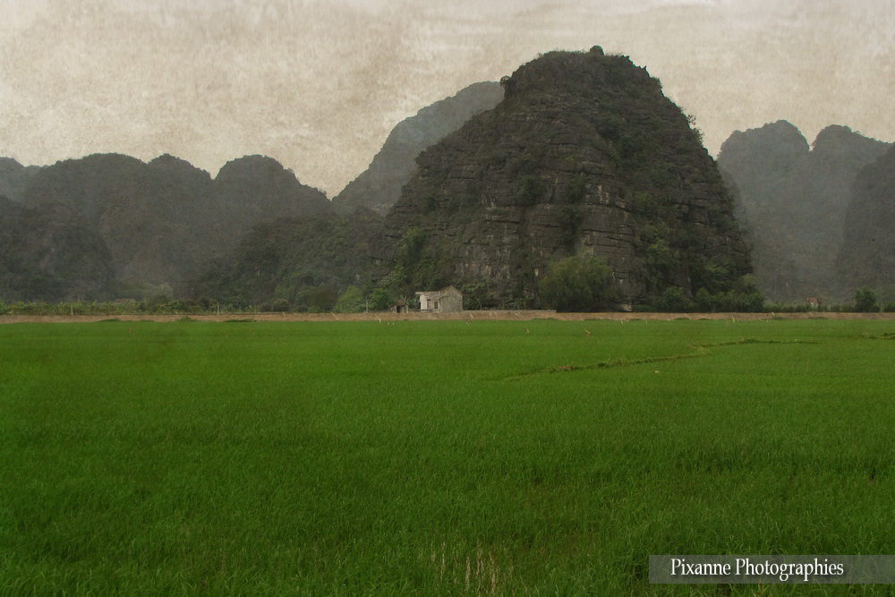 Asie, Vietnam, Tam Coc, Baie d'Halong Terrestre, Pixanne Photographies