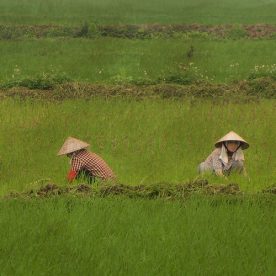 Asie, Vietnam, Baie D'Halong Terrestre, Hoa Lu, Souvenirs de Voyages, Pixanne Photographies