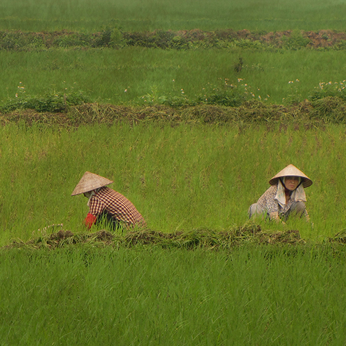 Asie, Vietnam, Baie D'Halong Terrestre, Hoa Lu, Souvenirs de Voyages, Pixanne Photographies