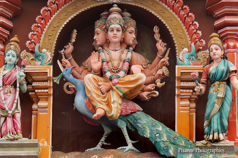 Asie, Inde du Sud, Tamil Nadu, Chennai, Kapaleeshwar Temple, Souvenirs de Voyages, Pixanne Photographies