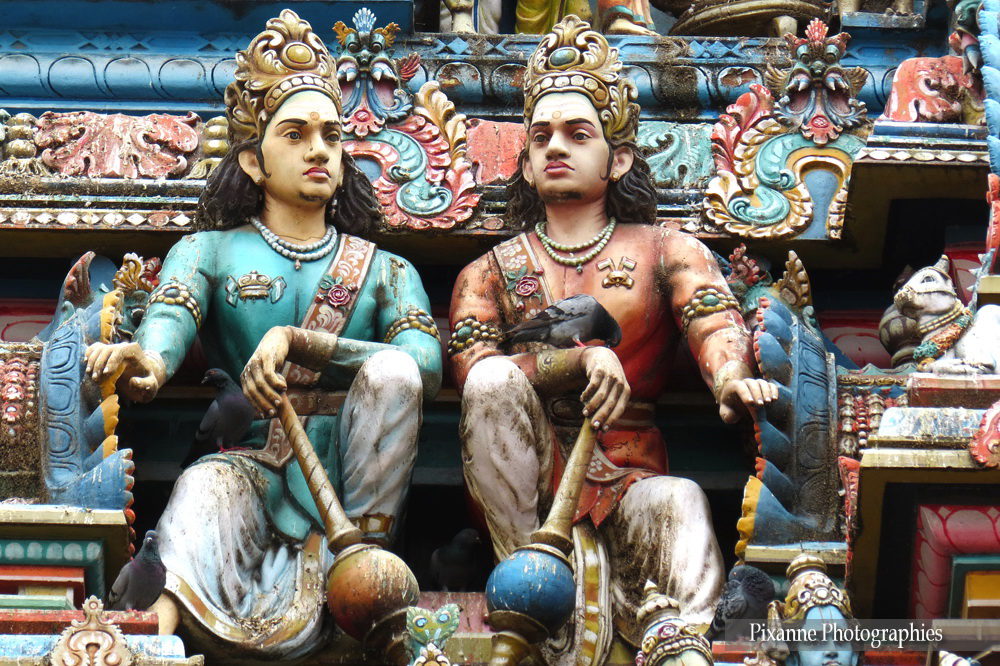 Asie, Inde du Sud, Tamil Nadu, Chennai, Kapaleeshwar Temple, Souvenirs de Voyages, Pixanne Photographies