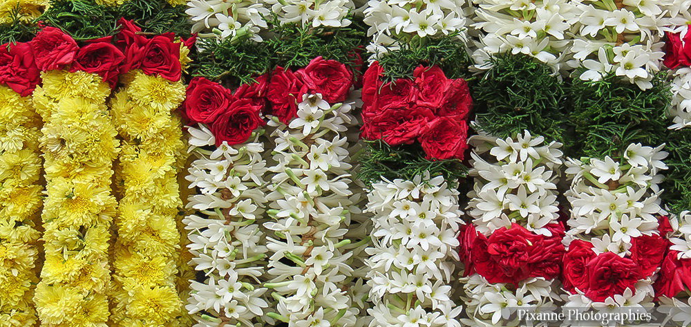 Kapaleeshwar Temple, Chennai, Inde du Sud, Pixanne Photographies, Souvenirs de Voyages, Tamil Nadu