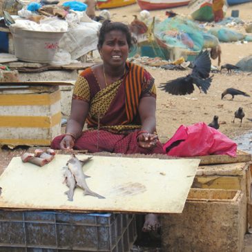Marché aux Poissons * Chennai