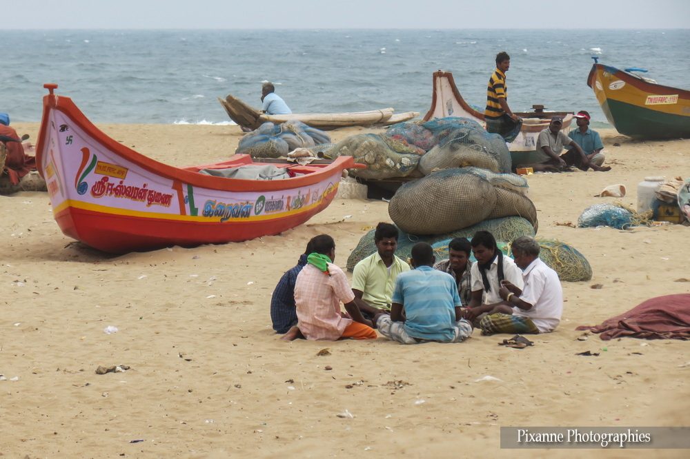 Asie, Inde du Sud, Tamil Nadu, Chennai, Marché aux poissons, Souvenirs de Voyages, Pixanne Photographies