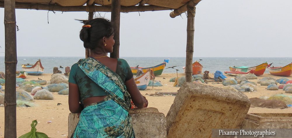 Asie, Inde du Sud, Tamil Nadu, Chennai, Marché aux poissons, Souvenirs de Voyages, Pixanne Photographies