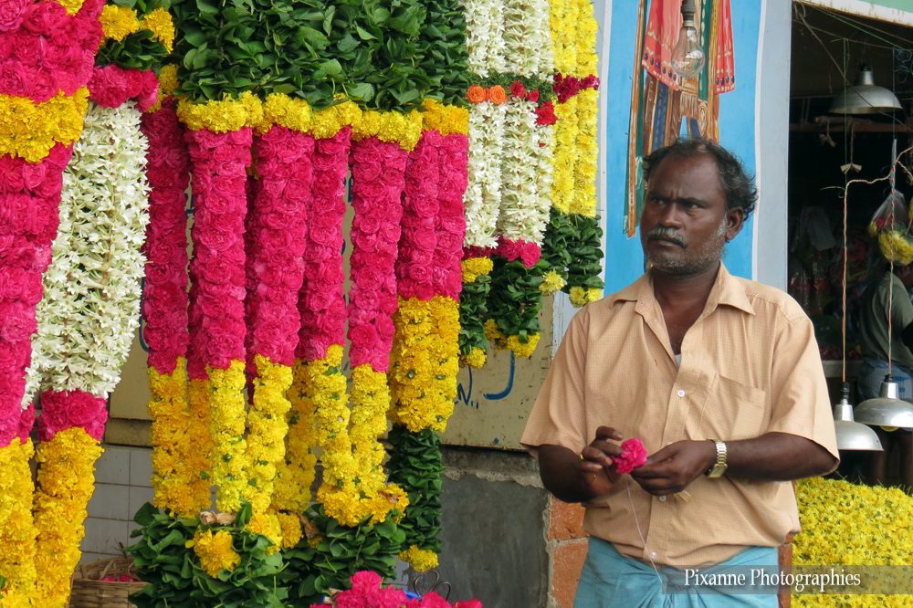 Asie, Inde du Sud, Tamil Nadu, Chennai, Kamarajar Market, Marché aux Fleurs