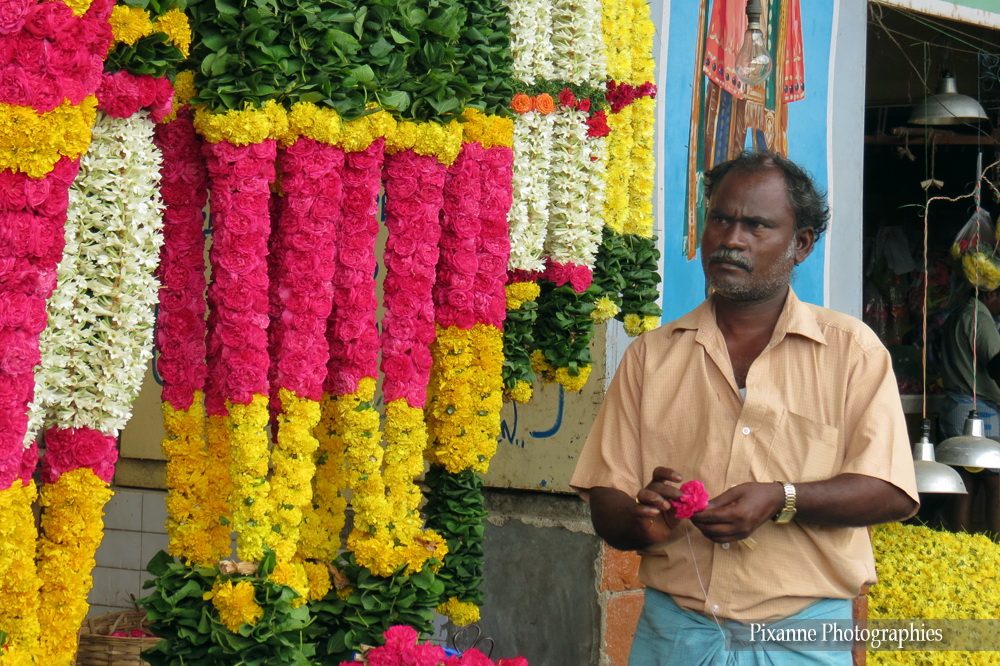 Asie, Inde du Sud, Tamil Nadu, Chennai, Kamarajar Market, Marché aux Fleurs