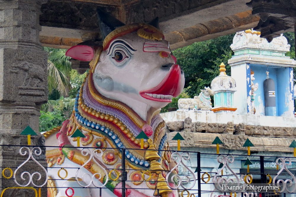 Asie, Inde du Sud, Tamil Nadu, Kanchipuram, Ekambaranathar Temple, Souvenirs de Voyages, Pixanne Photographies