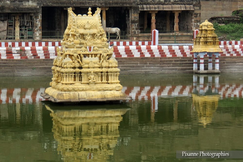 Asie, Inde du Sud, Tamil Nadu, Kanchipuram, Varadaraja Temple, Souvenirs de Voyages, Pixanne Photographies