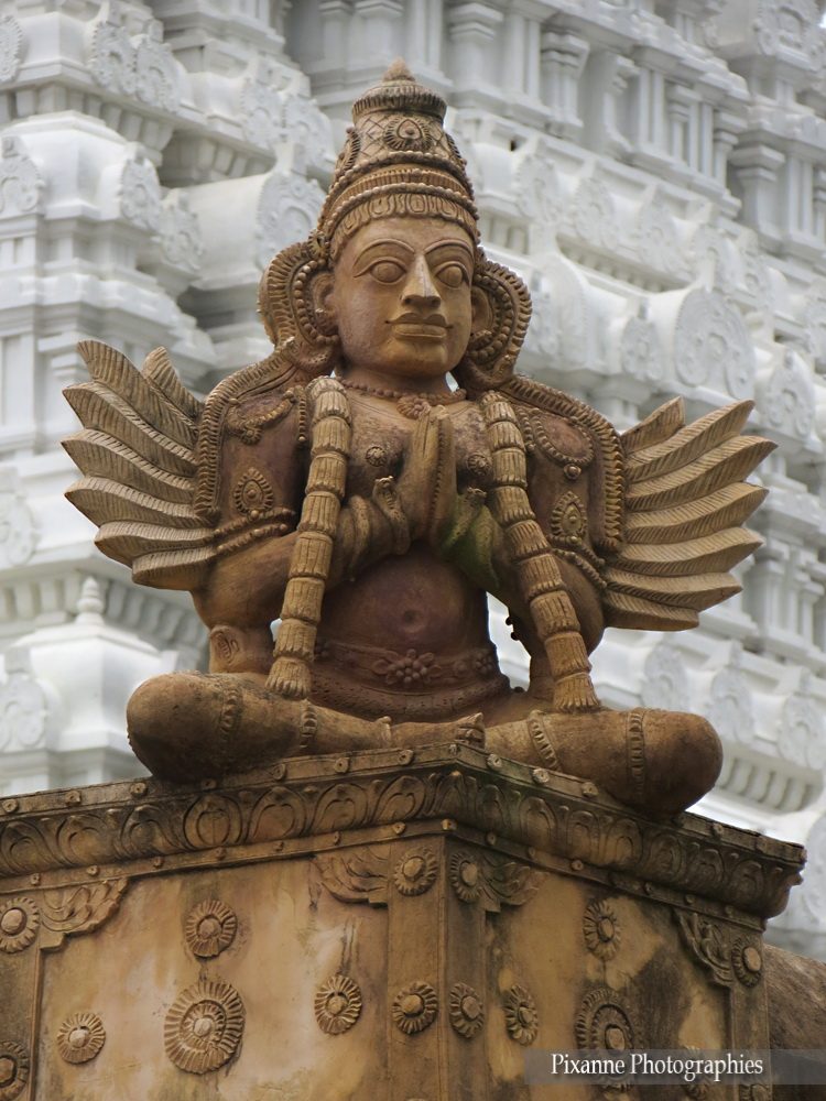 Asie, Inde du Sud, Tamil Nadu, Kanchipuram, Varadaraja Temple, Souvenirs de Voyages, Pixanne Photographies