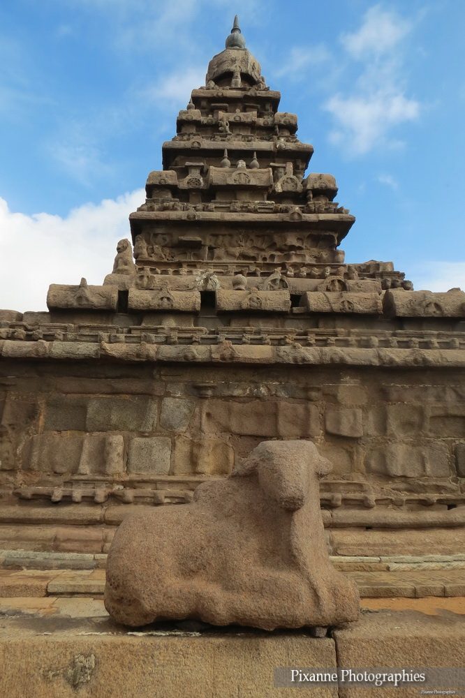 Asie, Inde du Sud, Tamil Nadu, Mahabalipuram, Shore Temple, Temple du Rivage, Souvenirs de Voyages, Pixanne Photographies
