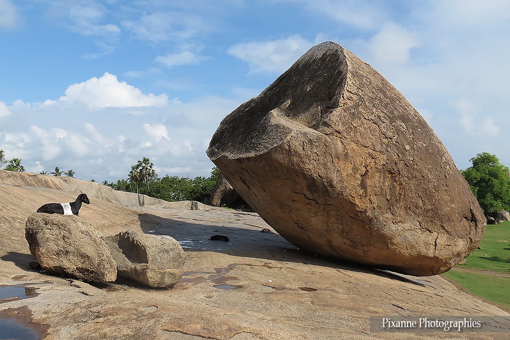 Asie, Inde du Sud, Tamil Nadu, Mahabalipuram, Krishna s Butter Ball, Souvenirs de Voyages, Pixanne Photographies