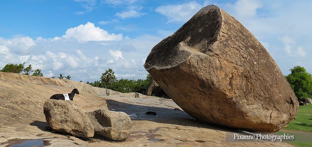 Asie, Inde du Sud, Tamil Nadu, Mahabalipuram, Krishnas butter ball, Souvenirs de Voyages, Pixanne Photographies