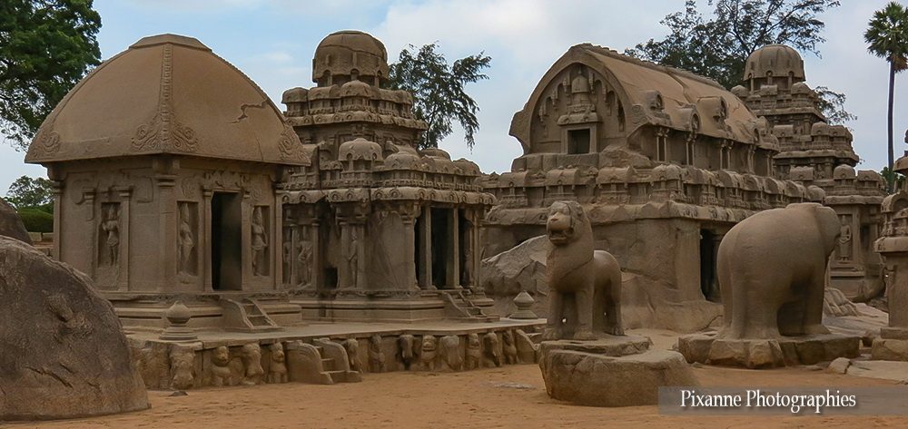 Asie, Inde du Sud, Tamil Nadu, Mahabalipuram, Pancha Ratha, Cinq Chars, Souvenirs de Voyages, Pixanne Photographies