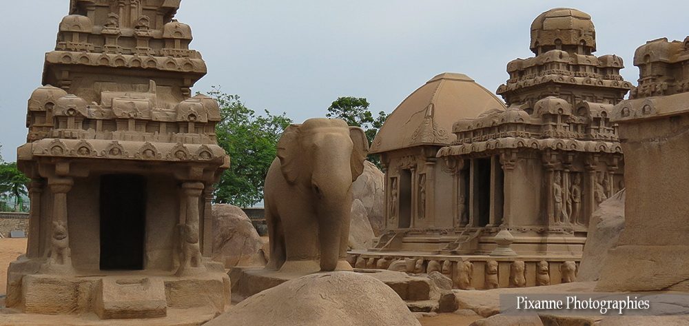 Asie, Inde du Sud, Tamil Nadu, Mahabalipuram, Pancha Ratha, Cinq Chars, Souvenirs de Voyages, Pixanne Photographies