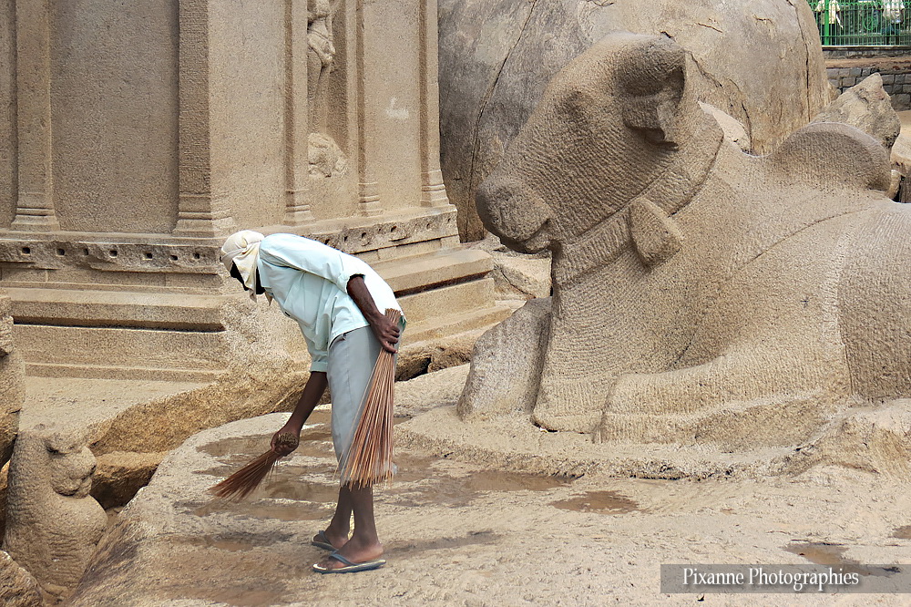 Asie, Inde du Sud, Mahabalipuram, Pancha Rathas, Cinq chars, Souvenirs de Voyages, Pixanne Photographies